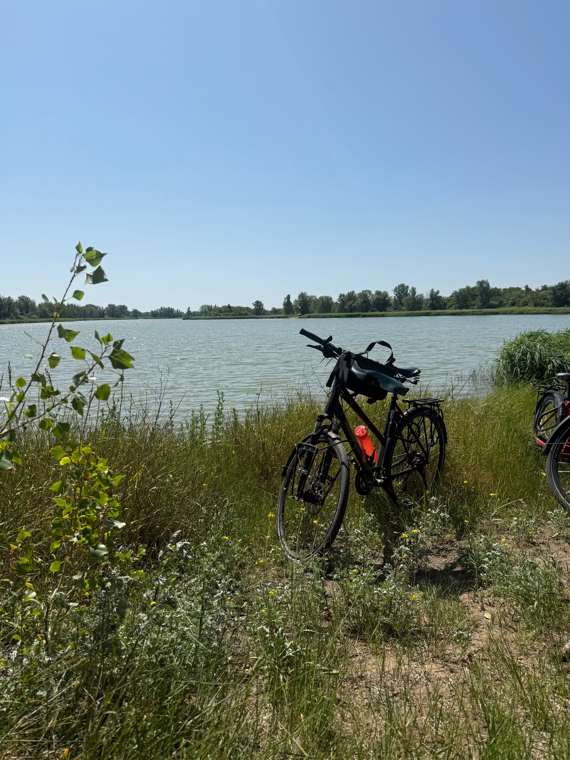 Trekkingrad mit Lenkertasche an idyllischem See – nachhaltige Mode für radbegeisterte Frauen im Alltag